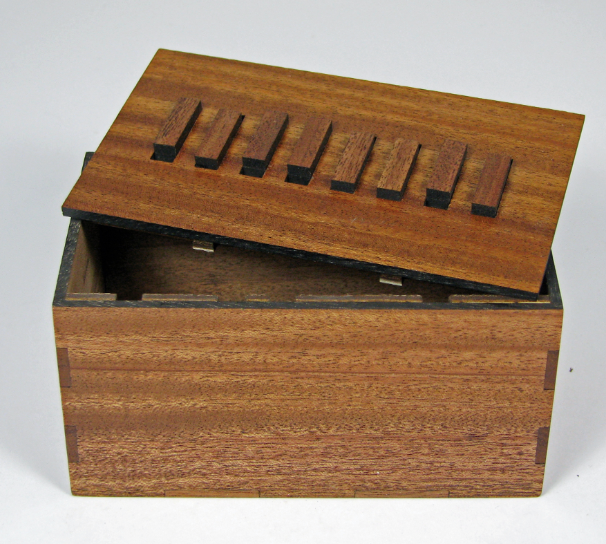 Byte Puzzle Box (Self Assembly Kit)