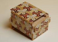 2.7 Sun 12 Step 3C-Kikkou Japanese Puzzle Box
