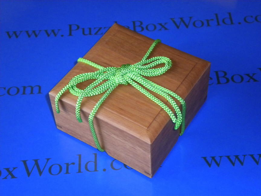 2013 String Box Puzzle by Fumio Tsuburai