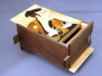 5 Sun 27 + 1 Step Zougan Edobee Japanese Puzzle Box 