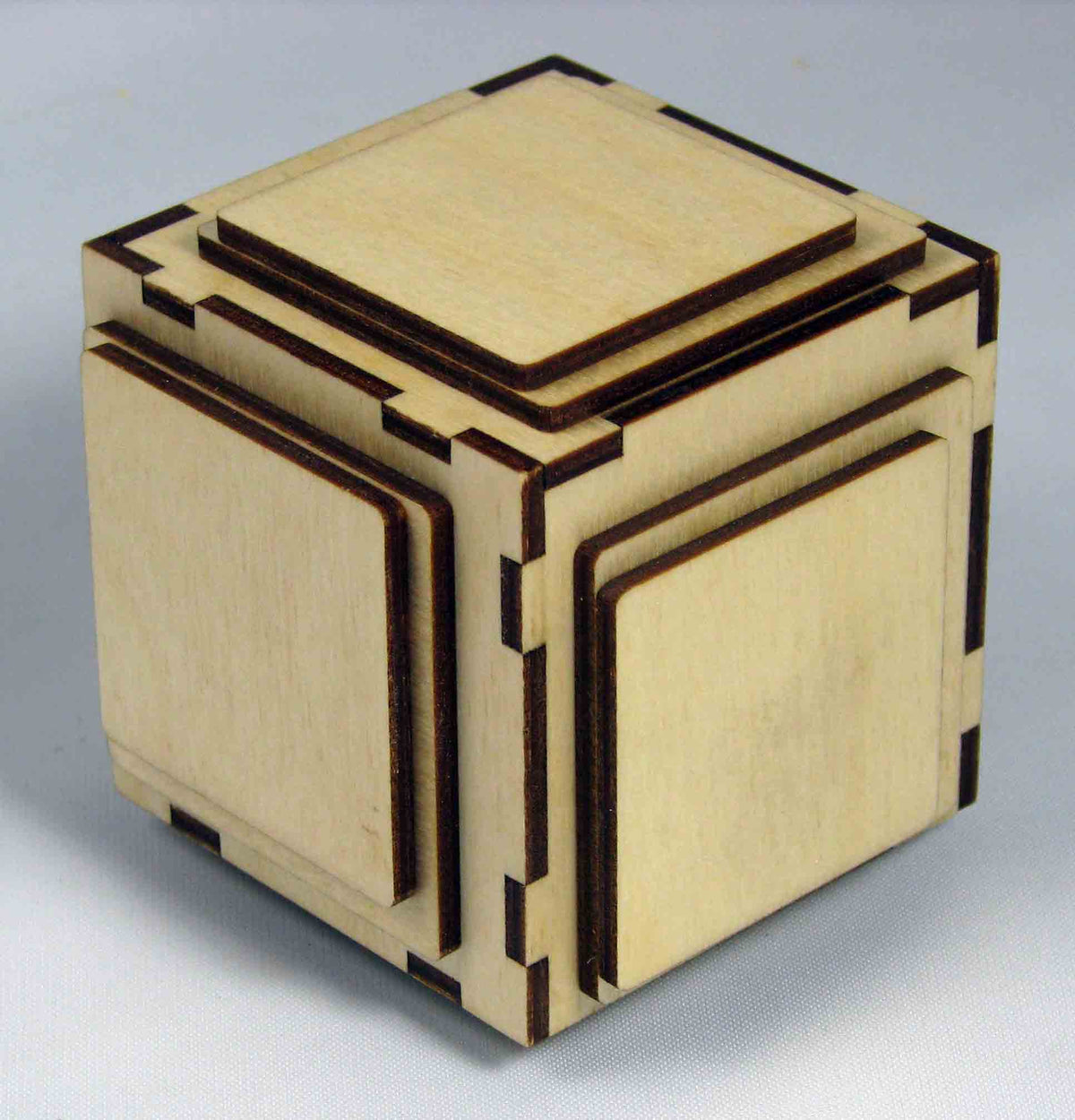 Chinese Torture Puzzle Box (Self Assembly Kit)