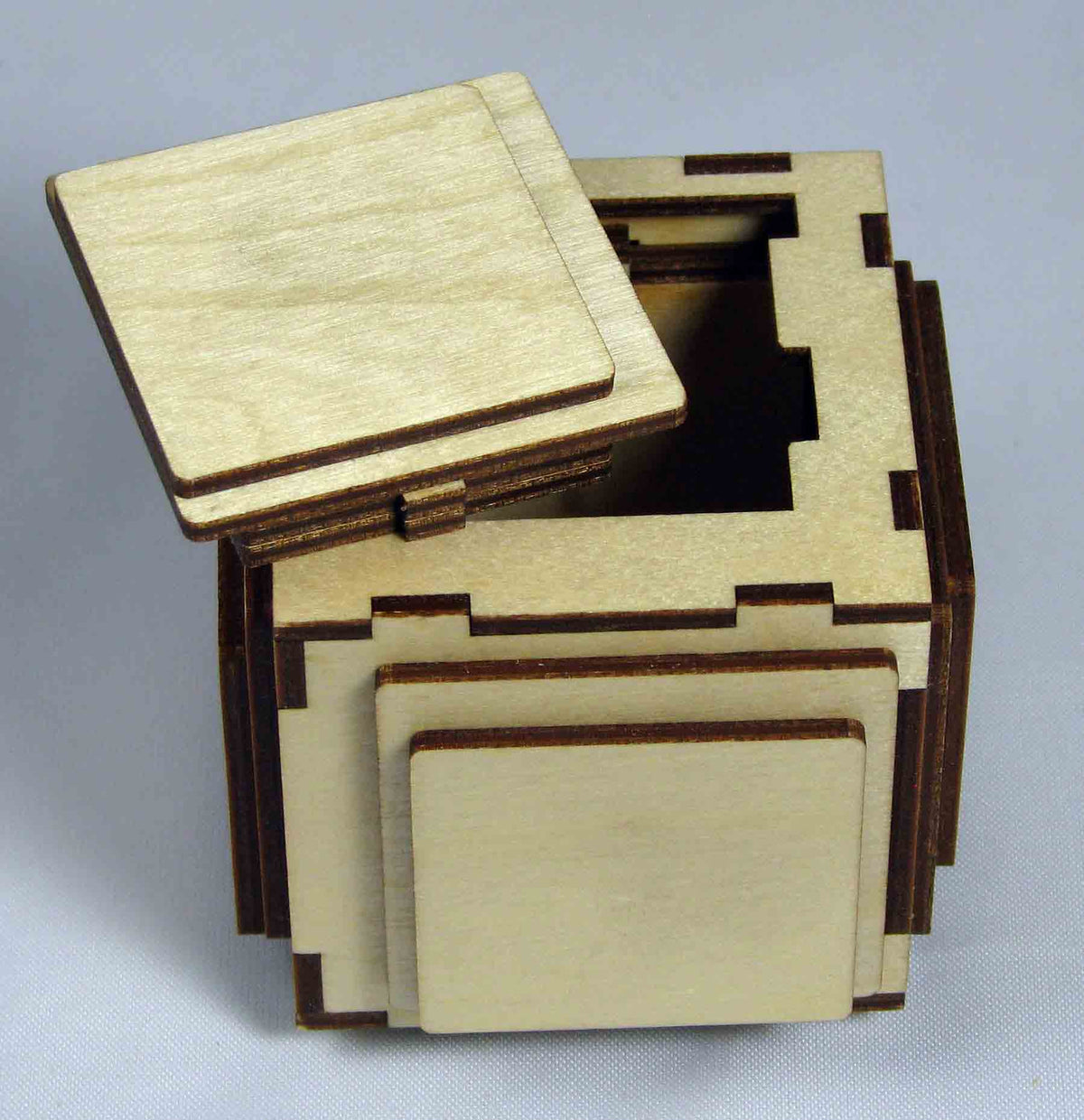 Chinese Torture Puzzle Box (Self Assembly Kit)