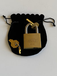 Danlock B Trick Lock Puzzle