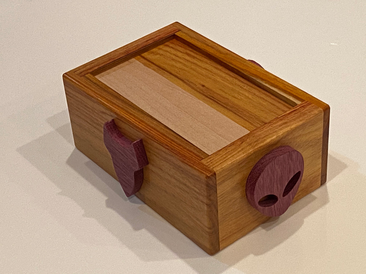 Space Case Puzzle Box crafted by Dee Dixon