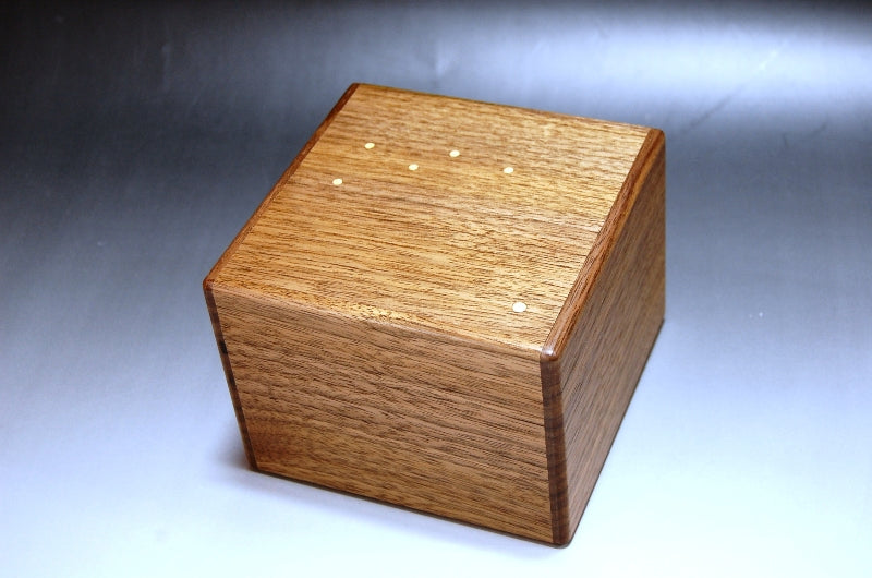 Cassiopeia IV Japanese Puzzle by Akio Kamei