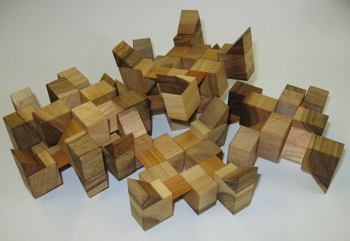 Chaosaro Coordinated Motion Puzzle