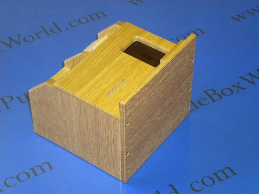 Please Pay The Fee Japanese Puzzle Box by Hiroshi Iwahara