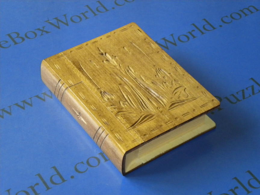 Transylvanian Secret Book Box (SLBRN)