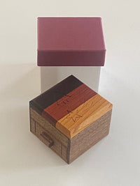 Secret Box with a Tree and a Star Japanese Puzzle Box by Hiroshi Iwahara (PRE-OWNED)