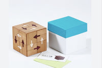Karakuri Jigsaw Cube 2 -Arrow- Japanese Puzzle Box by Hideaki Kawashima