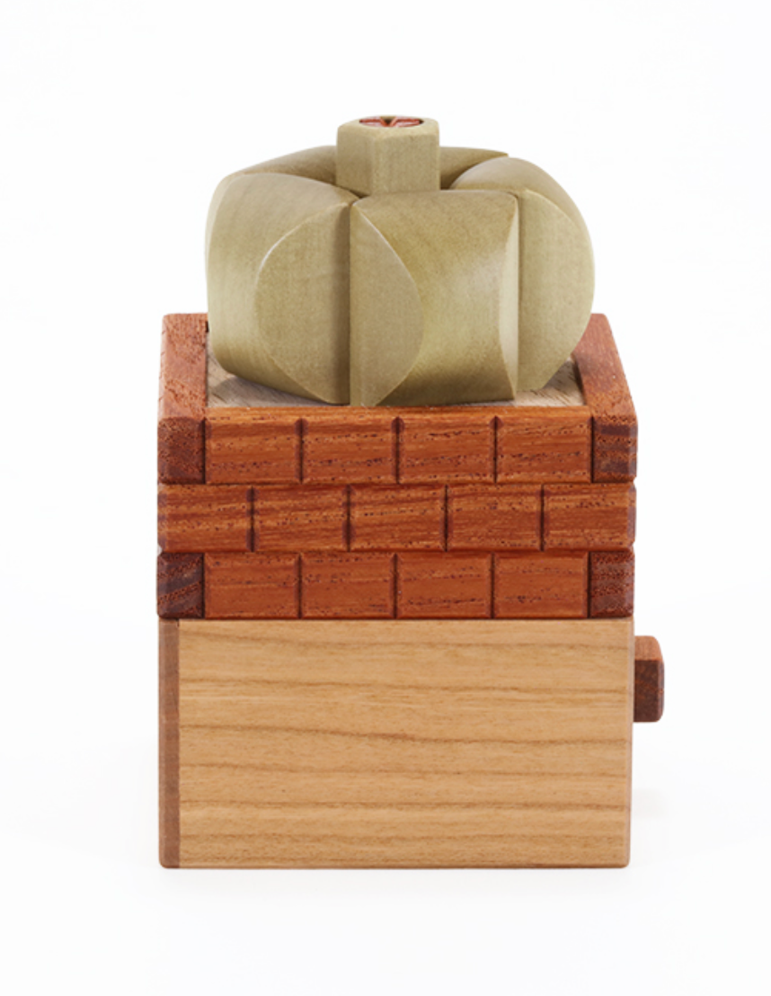 Succulents Japanese Puzzle Box by Yasuaki Kikuchi