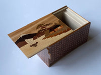 6 Sun 14 Step Sansui Zougan Double Compartment Japanese Puzzle Box