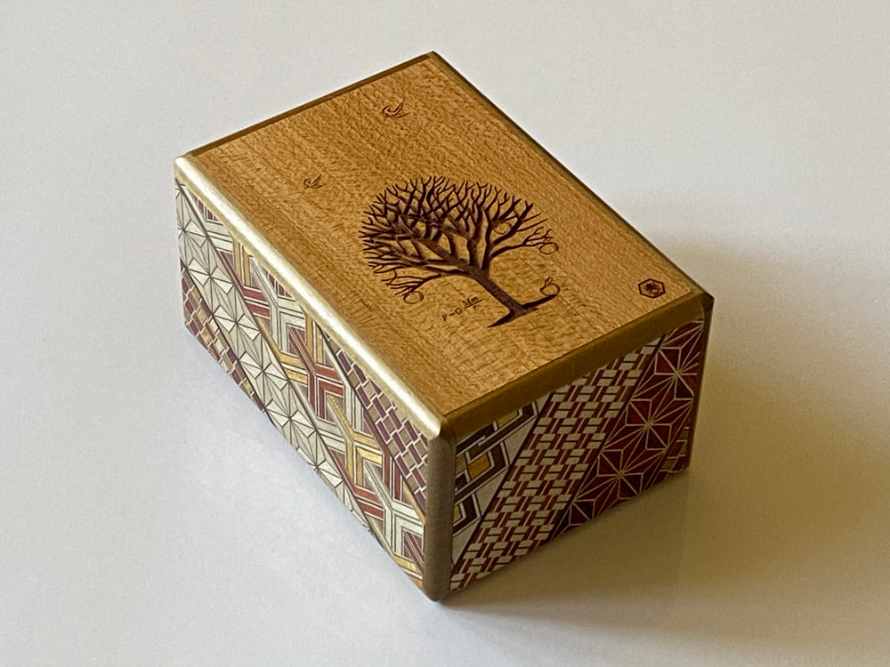 ジャッジメント　日本語版　1BOX Mensa Wooden IQ Puzzle Box - Japanese Magic Puzzle Gift