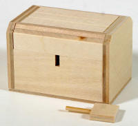 Treasure Box Japanese Puzzle Box (Self Assembly Kit)